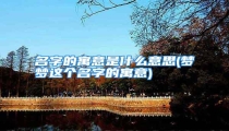 名字的寓意是什么意思(梦梦这个名字的寓意)