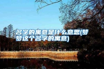 名字的寓意是什么意思(梦梦这个名字的寓意)