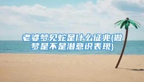 老婆梦见蛇是什么征兆(做梦是不是潜意识表现)
