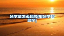 冰字辈怎么起名(用冰字起名字)