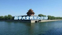 名字大全男孩2018