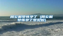周公解梦怀孕了 (周公解梦怀孕了梦见蛇)