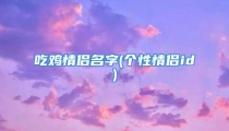 吃鸡情侣名字(个性情侣id)
