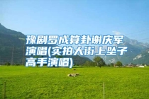 豫剧罗成算卦谢庆军演唱(实拍大街上坠子高手演唱)