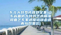 东北大鼓罗成算卦全集(山东省曲协大鼓书艺术展演和曲艺专家讲座培训走进青岛即墨区)