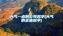 大气一点的公司名字(大气的企业名字)
