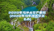 2020年马冲太岁严重吗(2020年马年冲太岁怎么办)