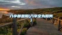 八字都是阳(八字全为阳男)