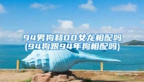 94男狗和00女龙相配吗(94狗跟94年狗相配吗)