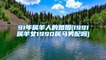 91年属羊人的婚姻(1991属羊女1990属马男配吗)