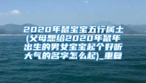2020年鼠宝宝五行属土(父母想给2020年鼠年出生的男女宝宝起个好听大气的名字怎么起)_重复