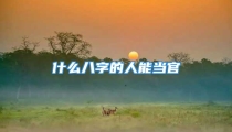 什么八字的人能当官