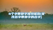 4个字带静字独特昵称(女孩名字带静字的名字)