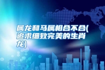 属龙和马属相合不合(追求细致完美的生肖龙)