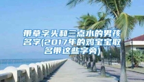 带草字头和三点水的男孩名字(2017年的鸡宝宝取名带这些字旁)