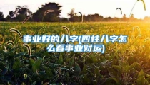 事业好的八字(四柱八字怎么看事业财运)