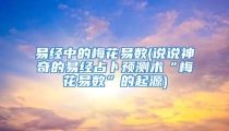 易经中的梅花易数(说说神奇的易经占卜预测术“梅花易数”的起源)