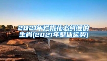 2021年烂桃花必纠缠的生肖(2021年整体运势)