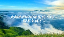 大林木跟松柏木配吗？婚配怎么样？