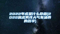 2022年虎是什么命格(2022属虎男孩大气有涵养的名字)