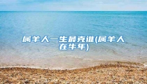 属羊人一生最克谁(属羊人在牛年)