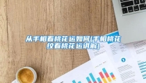 从手相看桃花运如何(手相桃花纹看桃花运讲解)