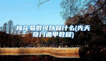 梅花易数可以算什么(先天奇门遁甲教程)