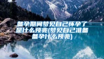 备孕期间梦见自己怀孕了是什么预兆(梦见自己准备备孕什么预兆)