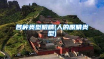 各种类型眼睛(人的眼睛类型)