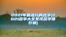 2021年最流行的名字(2021名字大全女孩名字排行榜)