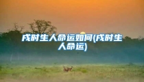 戌时生人命运如何(戌时生人命运)