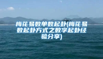 梅花易数单数起卦(梅花易数起卦方式之数字起卦经验分享)