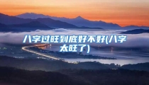 八字过旺到底好不好(八字太旺了)