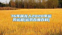 76年属龙人2020年运势运程(运势百度百科)