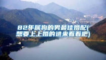 82年属狗的男最佳婚配(想要上上婚的进来看看吧)