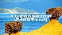 43岁后有大运的生肖(丙辰大运属于什么运)