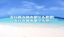 五行属大林木是什么意思(五行大林木是什么命)