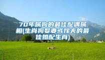 70年属狗的最佳配偶属相(生肖狗娶妻或嫁夫的最佳婚配生肖)