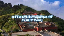 8月21日生日算命(21岁的是什么命)
