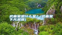 武曲星是什么星？(武曲星下凡是谁)