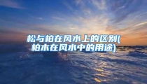 松与柏在风水上的区别(柏木在风水中的用途)