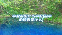 宬字起名配什么字好(名字的读音是什么)