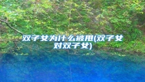 双子女为什么被甩(双子女对双子女)