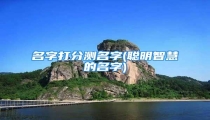 名字打分测名字(聪明智慧的名字)