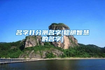 名字打分测名字(聪明智慧的名字)