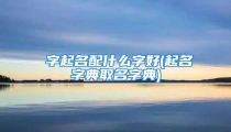 偲字起名配什么字好(起名字典取名字典)
