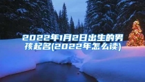 2022年1月2日出生的男孩起名(2022年怎么读)