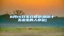 6月15日生日算命(阴历十五出生的人命运)