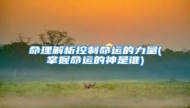 命理解析控制命运的力量(掌握命运的神是谁)