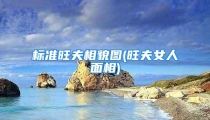 标准旺夫相貌图(旺夫女人面相)